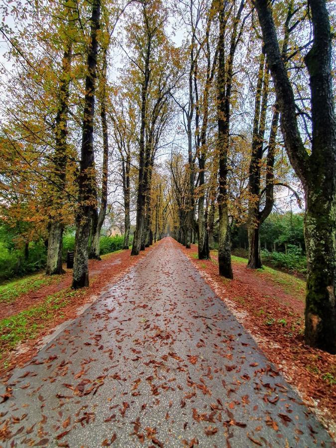 Villa Vrelo Bosne Сараево Экстерьер фото