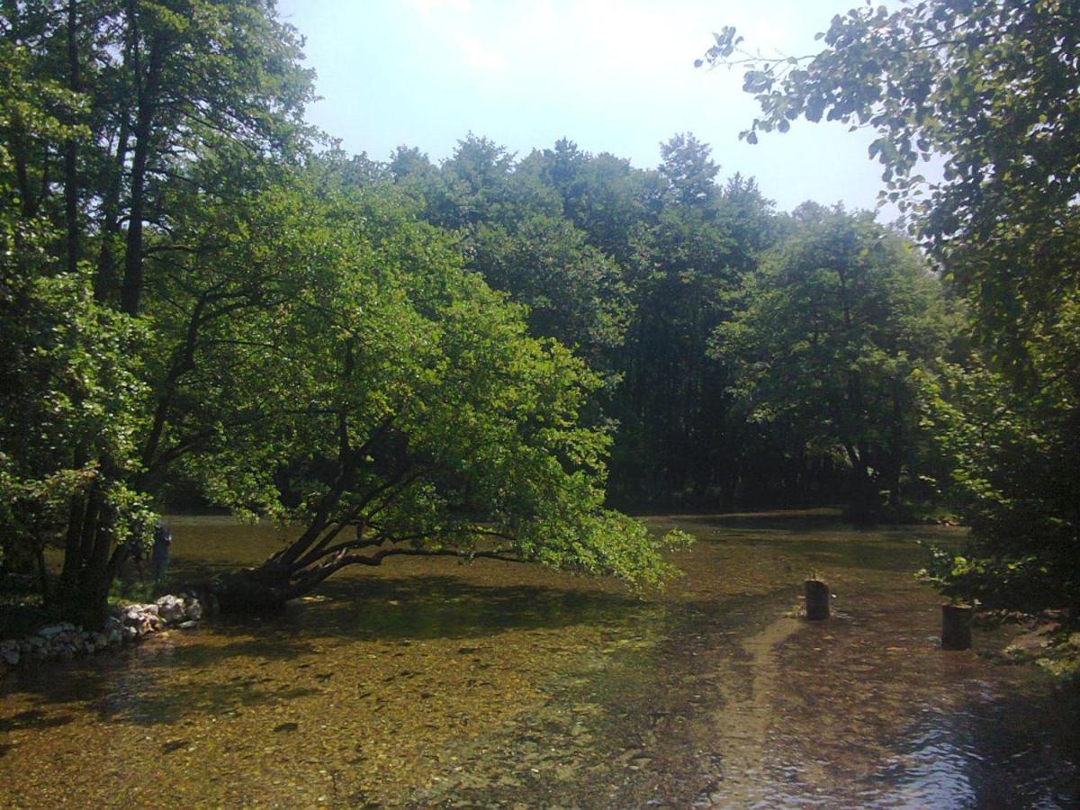 Villa Vrelo Bosne Сараево Экстерьер фото