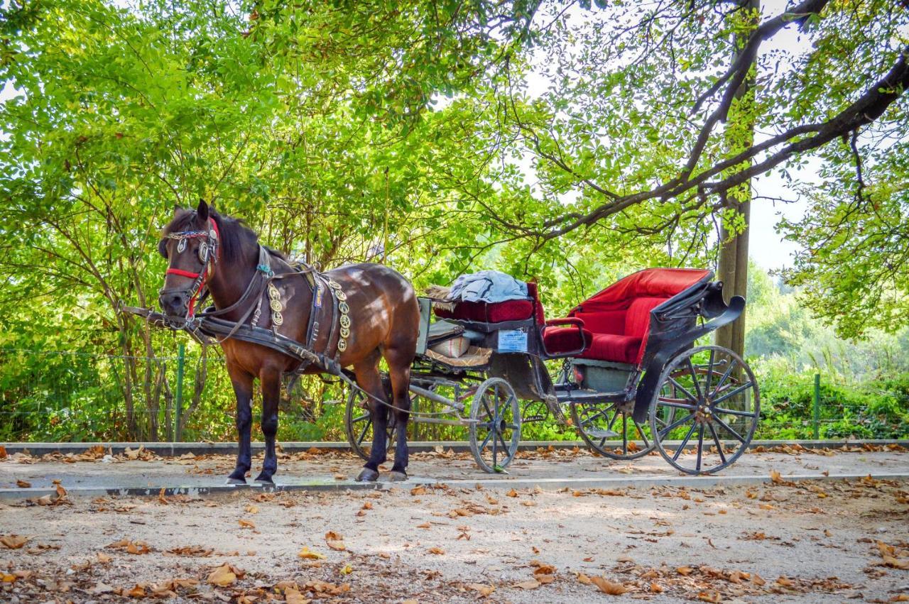 Villa Vrelo Bosne Сараево Экстерьер фото