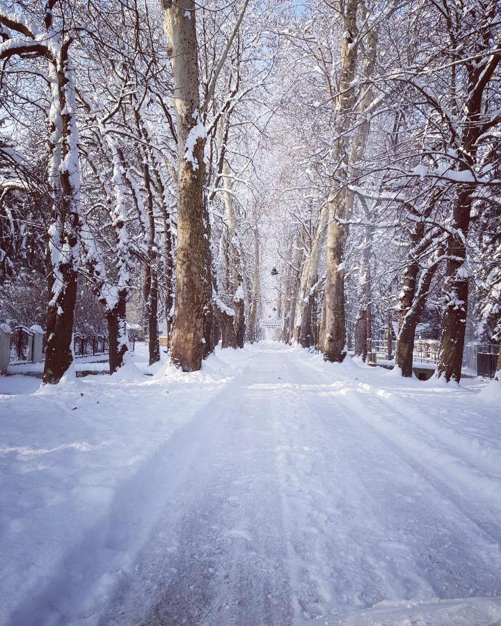 Villa Vrelo Bosne Сараево Экстерьер фото