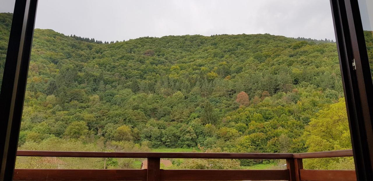 Villa Vrelo Bosne Сараево Экстерьер фото